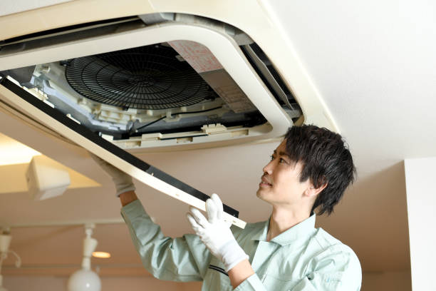 Best Air Duct Mold Removal  in Fredericktown, OH